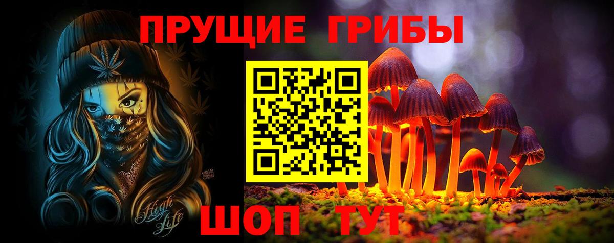 Псилоцибиновые грибы Psilocybe Заволжье