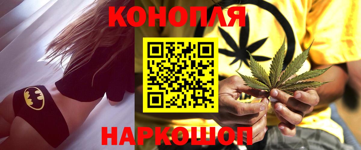 Канабис сатива Заволжье